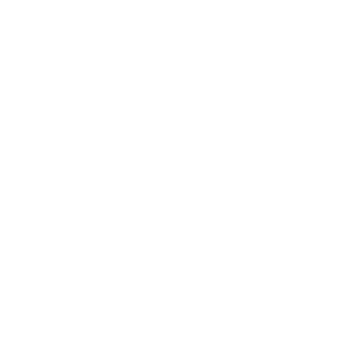 Stichting Baaroo Logo